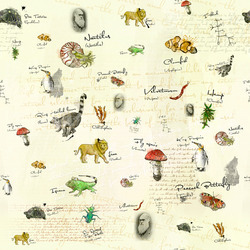 Low-res_charles_darwin_preview