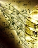 Angel_wings155x125_preview