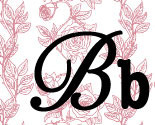 Spoonflowerpic_preview
