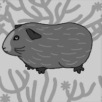 Pig_pattern_2_preview