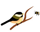 Chickadee_bumblebee_preview