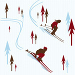 Wd_skiers_sample_preview