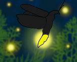 Summercountryicon_preview