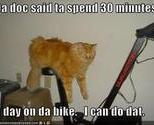 Funny-pictures-cat-excercise-bike_thumb