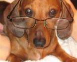 Doxie_specks_thumb
