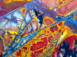 Stephbg-dragonfly-wing-cherry-creek-jasper-small_preview