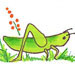Grasshopper2copyavatar_preview