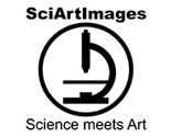 Sciartimages_logo_thumb