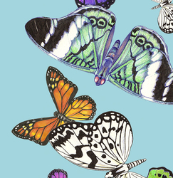 Decal_preview