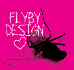 Fly_preview