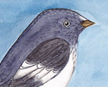 Spoonflower_icon_preview