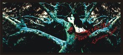 In_a_tree_preview