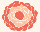 Chrysanthemum_thumb