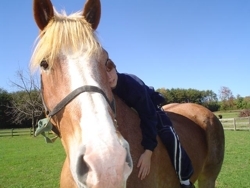 Horse_and_boy_preview