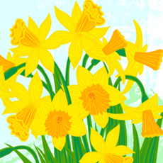 Tukkki_userpic_preview