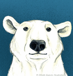 Polar_bear_icon_preview