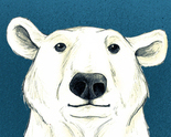 Polar_bear_icon_thumb