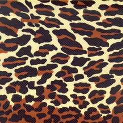 Leopard_preview