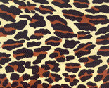 Leopard_thumb