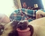 2013-12-19_07.32.36-1_thumb