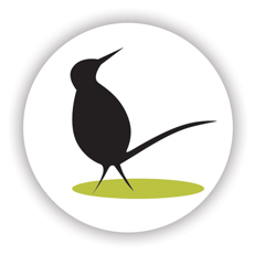 Curiousbird_greenbadge_preview