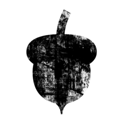 Acorn_preview