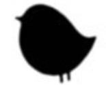 Bird_thumb