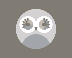 Klegge_owl_preview