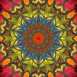 Square_burst_from_fingerpainted_plate_preview