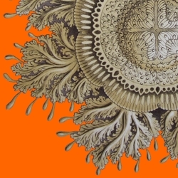 Orange_jellyfish_preview