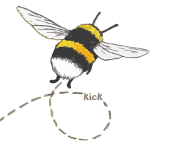 My_bumblebee_avatar_-_full_size_-_wider_preview
