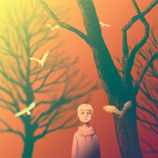 Birdid_preview