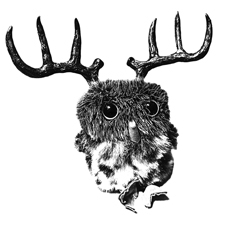 Iconowl_preview