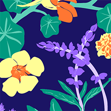 Wild_herbs_small_preview