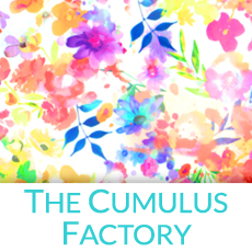 Spoonflower_image_preview