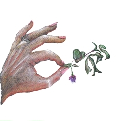 Handholdflowltadjcutout_copy_preview