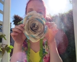 Cabbage_rose_close_thumb