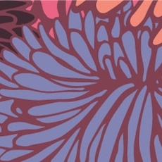 Florals-9-2014_avitar_preview
