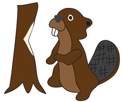 Beaver_preview